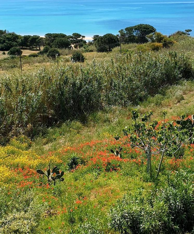 Il Canneto Di Selinunte Marinella di Selinunte Exteriör bild