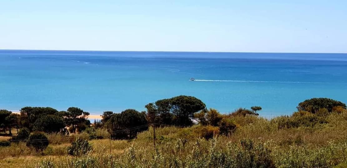 Il Canneto Di Selinunte Marinella di Selinunte Exteriör bild