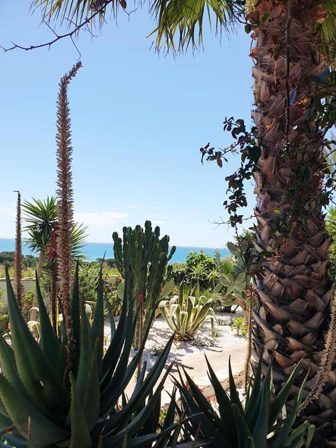 Il Canneto Di Selinunte Marinella di Selinunte Exteriör bild